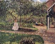 corner of the garden